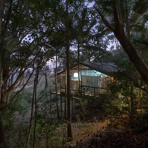 https://treetops-seaview-montville.hotelssunshinecoast.net